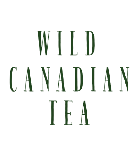Wild Canadian Tea (formerly Algonquin tea)